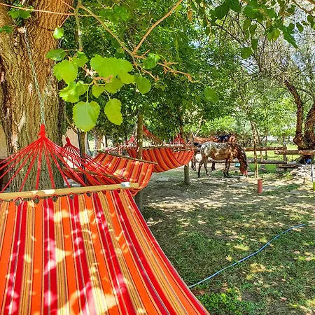 بيت ريفي Bauer - Countryside Retreat Roszke