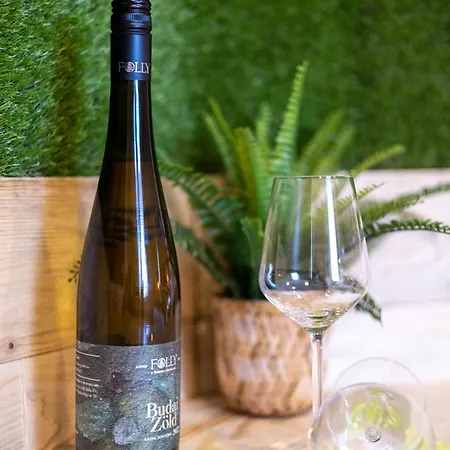 Forro Fogado & Bauer Bistro 3* Roszke