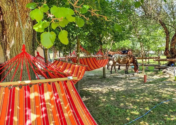 Inn Bauer - Countryside Retreat Roszke